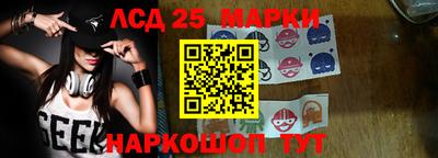 крисы Шелехов