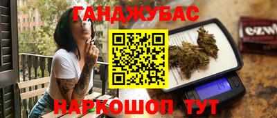 крисы Шелехов