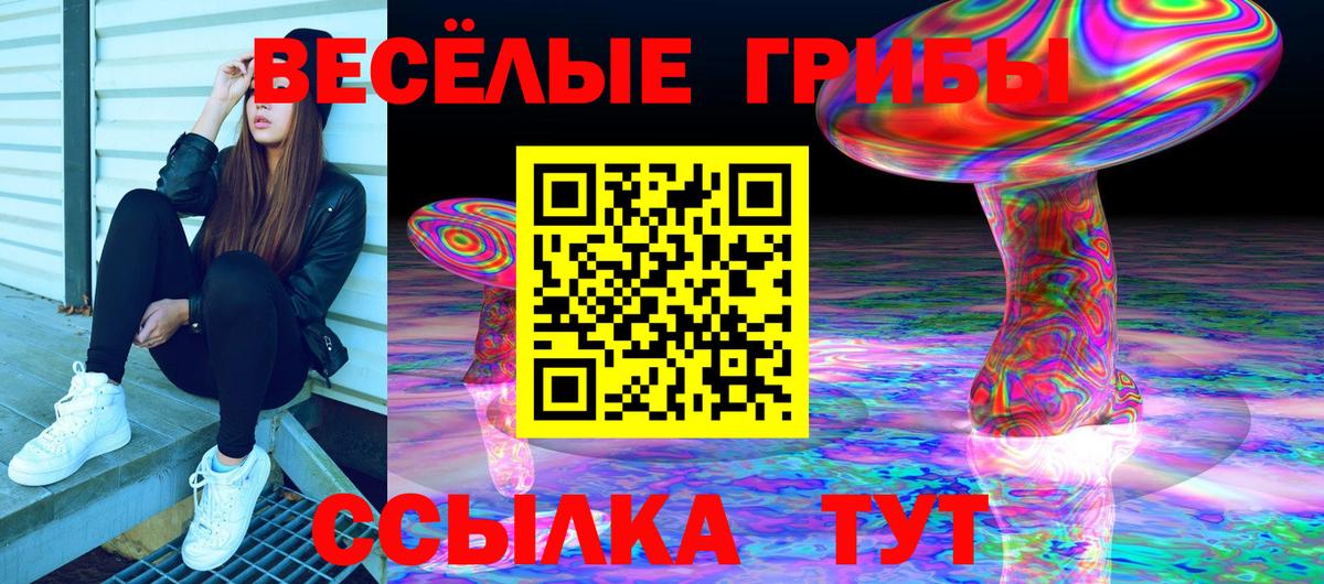 Галлюциногенные грибы Psilocybe Михайловка