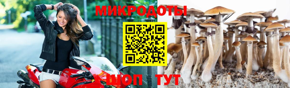 Галлюциногенные грибы Magic Shrooms  Вход с VPN  Псилоцибиновые грибы Psilocybine cubensis  Михайловка 