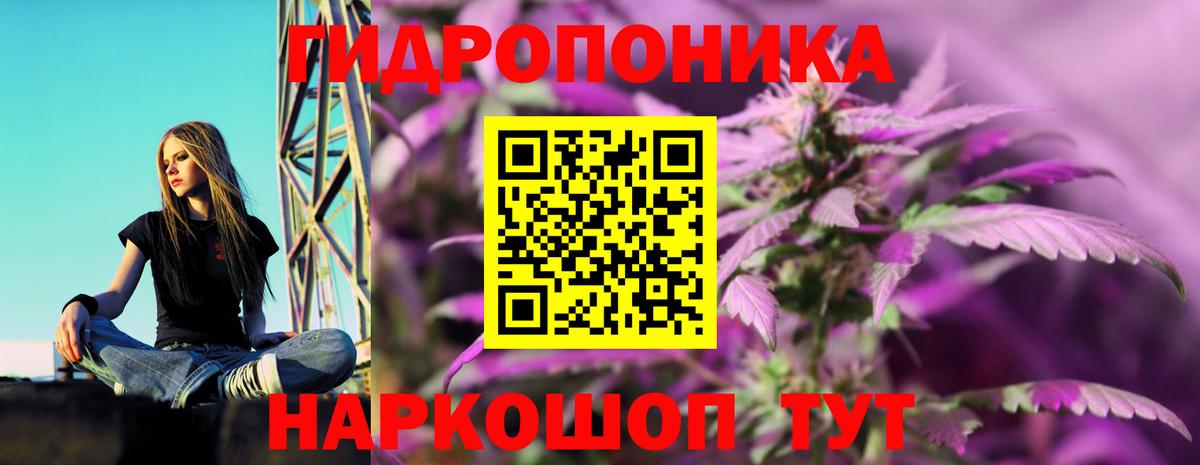 МАРИХУАНА план Михайловка